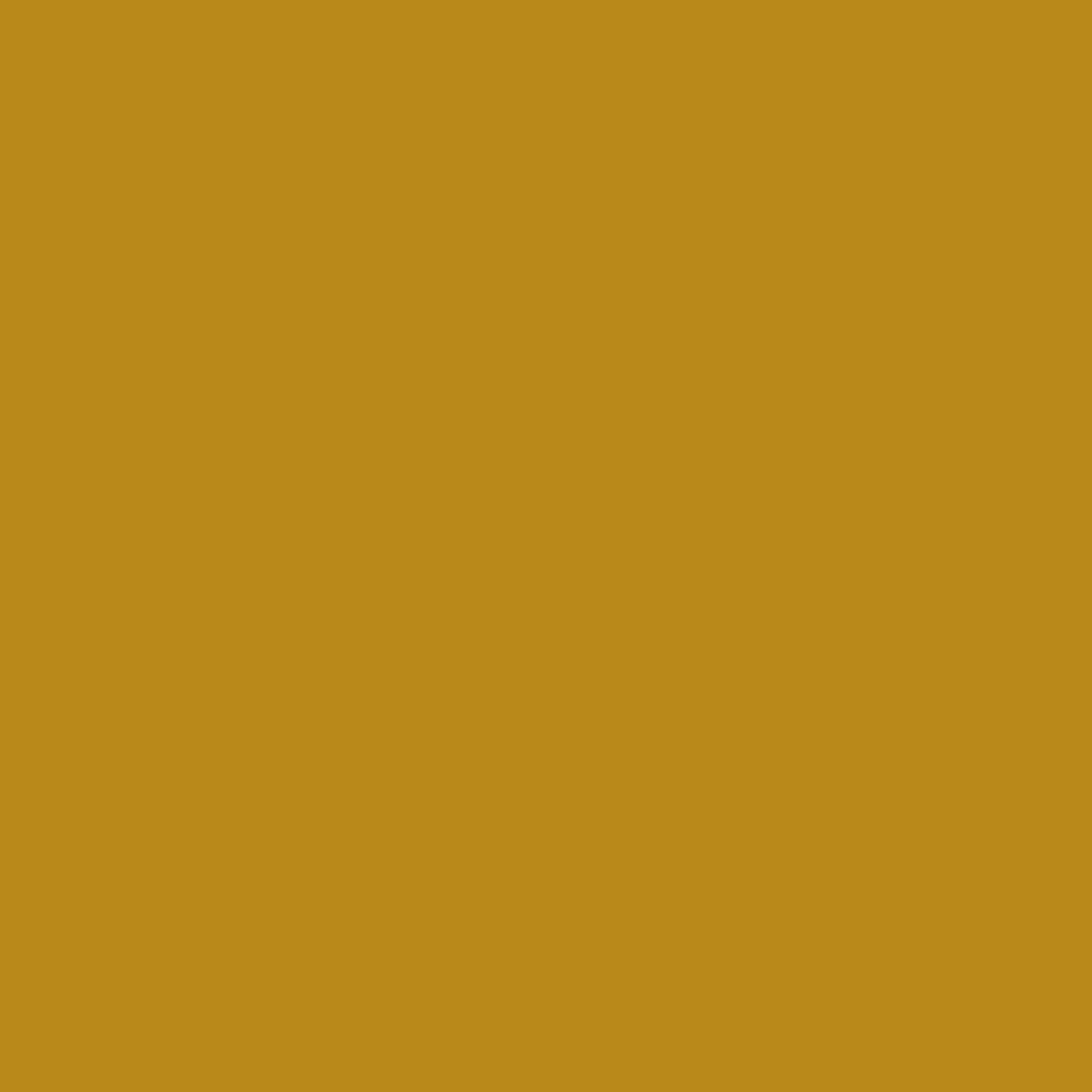 59-YL6