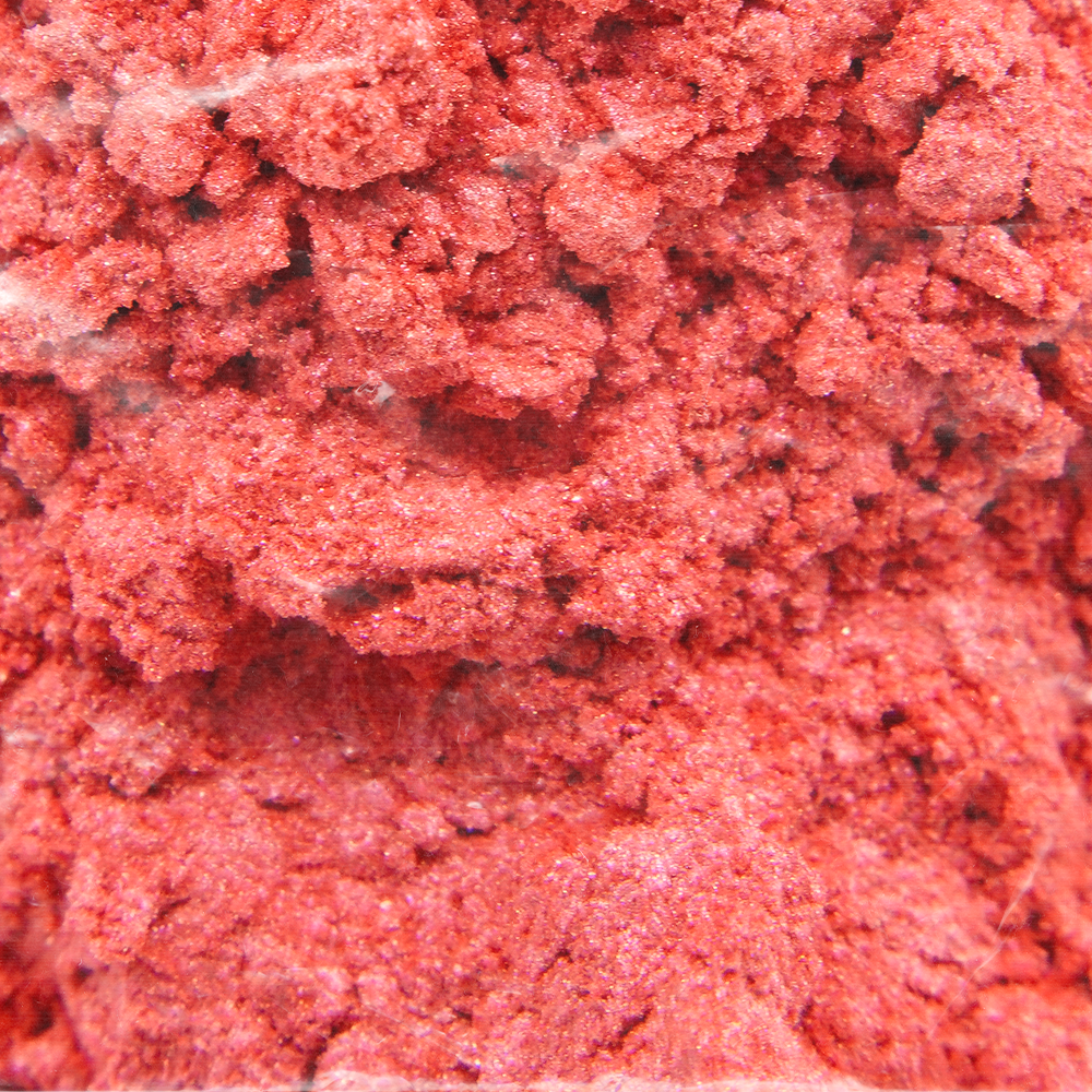 PL41